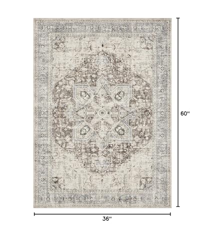 Tortania Area Rug Living Room Rugs - 9x12 Washable Boho Rug Vintage Oriental Distressed Farmhouse Large Thin Indoor Carpet for Living Room Bedroom Under Dining Table Home Office - Salmon/Azure