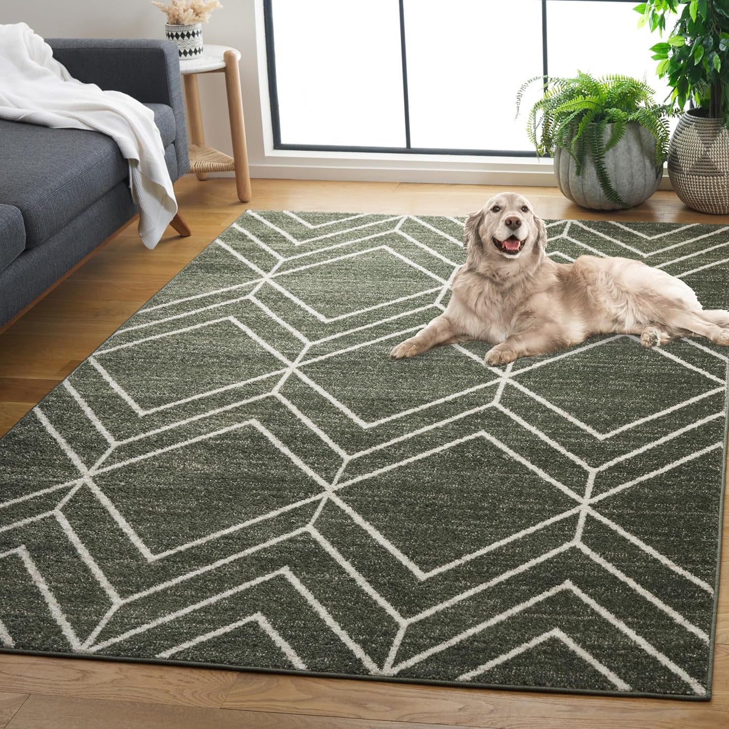 SAFAVIEH Adirondack Collection 6' Round Black/Ivory ADR241Z Modern Geometric Non-Shedding Dining Room Entryway Foyer Living Room Bedroom Area Rug